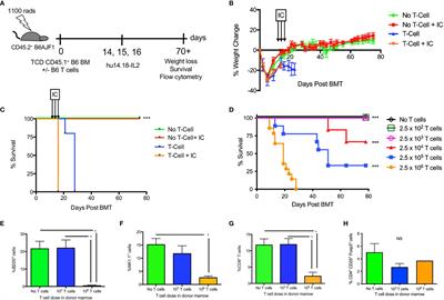 Combining Immunocytokine and Ex Vivo Activated NK Cells as a Platform for Enhancing Graft-Versus-Tumor Effects Against GD2+ Murine Neuroblastoma